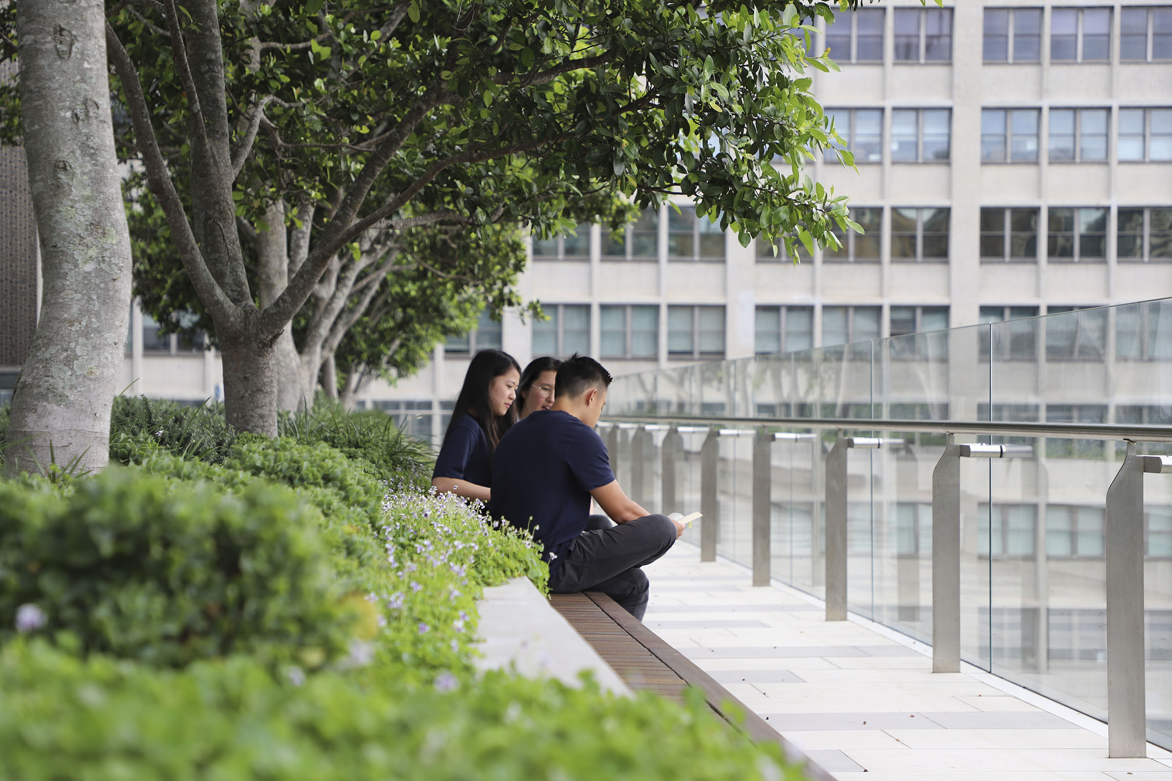 Library terrace level 8