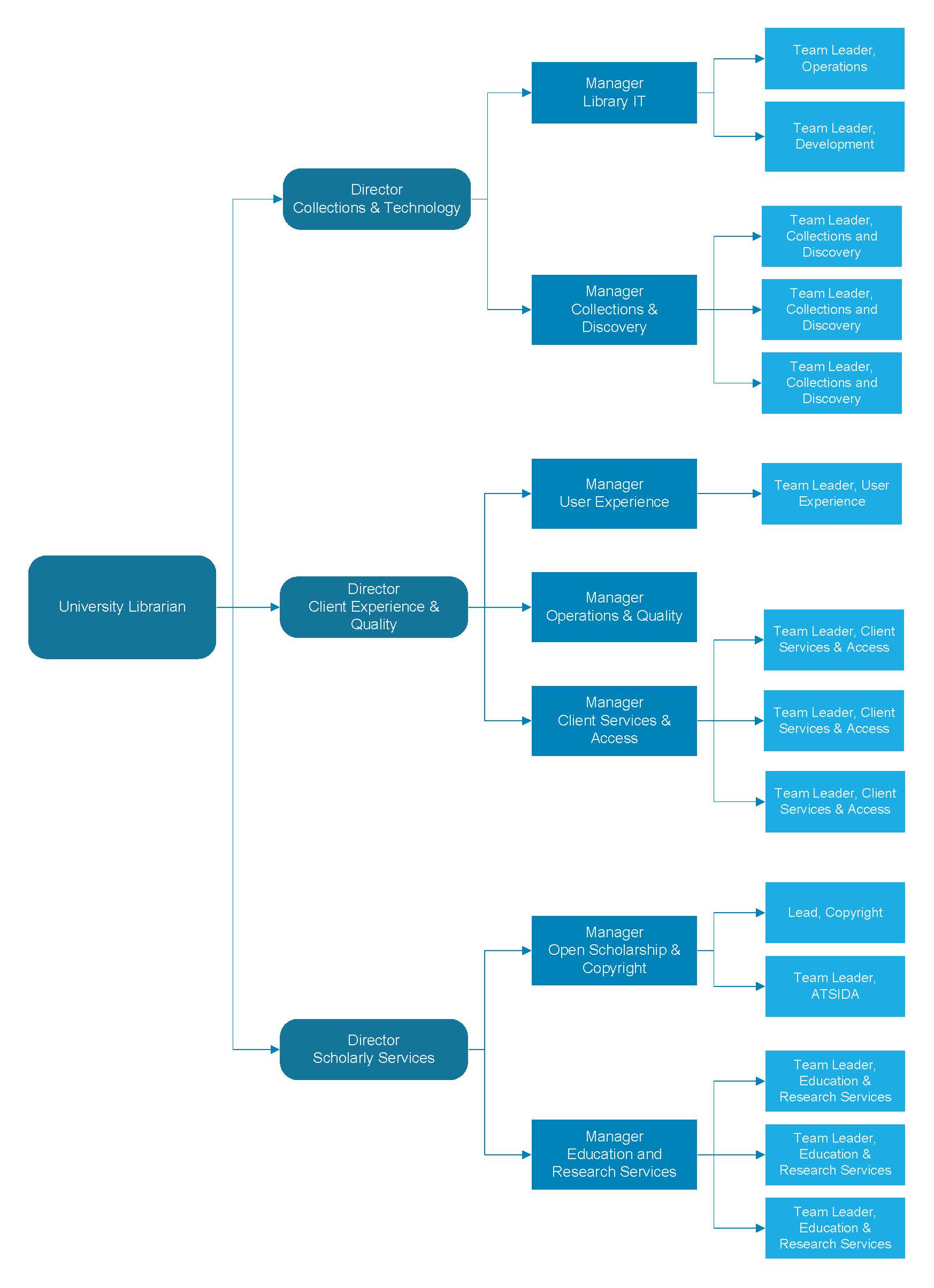 Library organisational chart October 2023