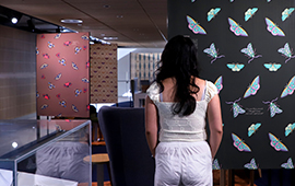 Student standing in front of exhibition screen of illustrated moths