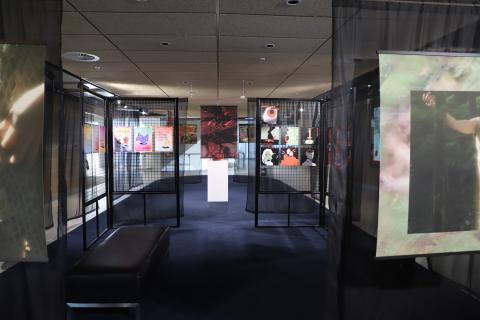 Photo of exhibition- wide shot of hanging artworks, curtains 