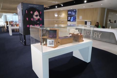 An overview of a display case in the exhibition/ A framed photograph, a drying jacaranda tree branch and a toy sheep puppet are arranged inside